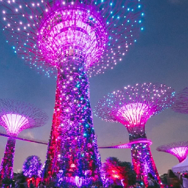 Singapore – Gardens by the Bay_ Supertree Grove