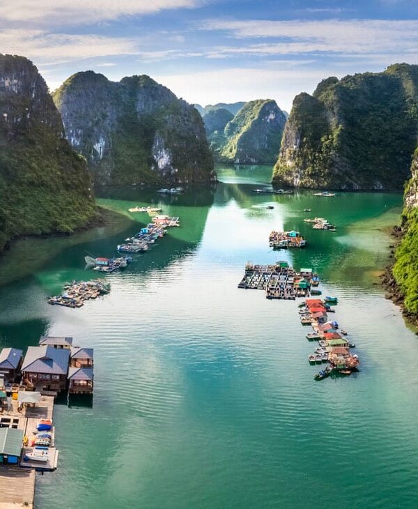 14D-Vietnam-Classic-Hero